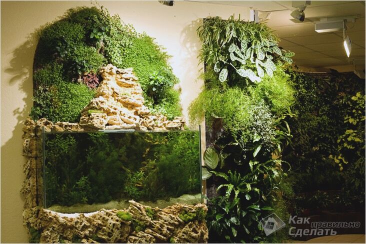 Вертикальный сад в доме – модно и практично
