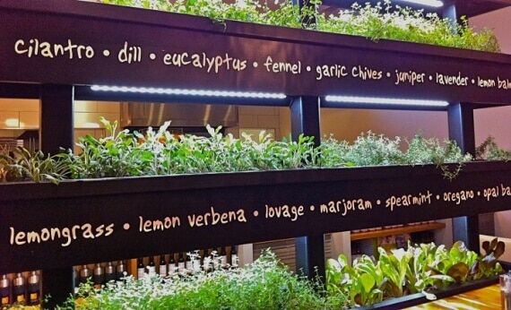 Вертикальный сад в доме – модно и практично