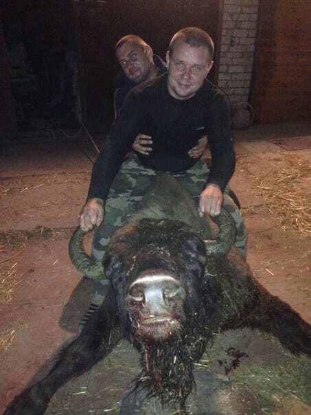 Краснокнижный скандал на Сумщине: чиновник лесхоза позировал с убитым зубренком