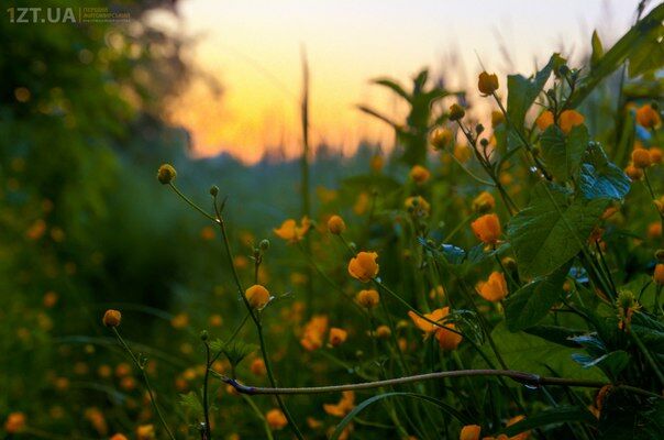 Житомир: світанок на Тетеревом. ФОТОРЕПОРТАЖ