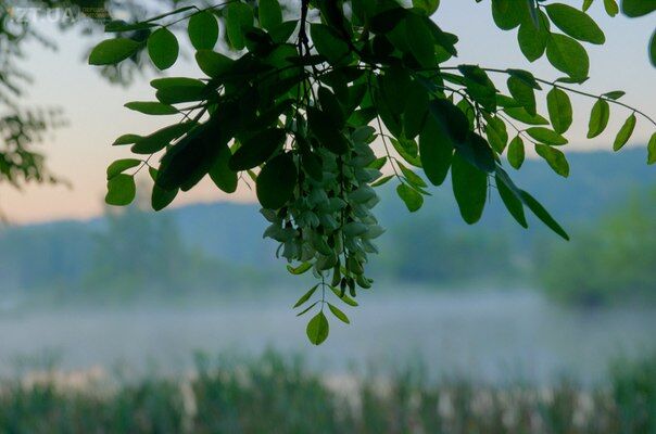 Житомир: світанок на Тетеревом. ФОТОРЕПОРТАЖ