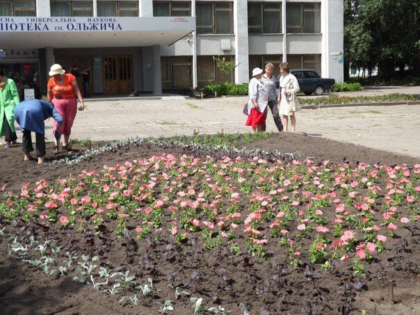 В центре Житомира на вытоптанной клумбе высадили более 2 000 цветов. ФОТО