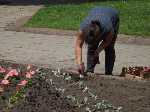 В центре Житомира на вытоптанной клумбе высадили более 2 000 цветов. ФОТО