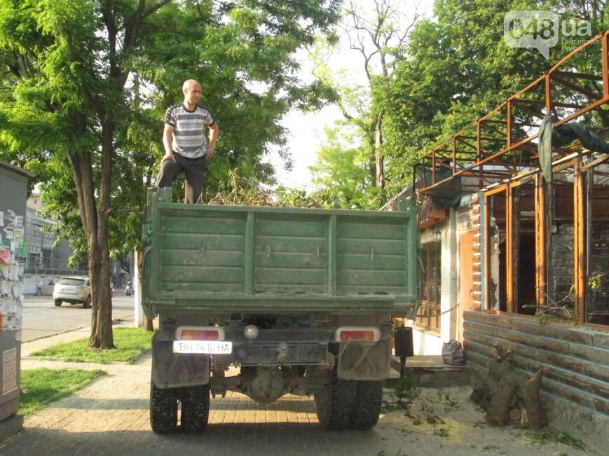 В Одессе строительной компании мешают живые деревья