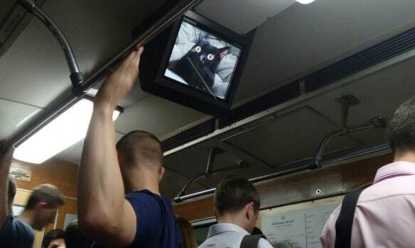 Опять хакеры: в киевском метро взломали мониторы и разместили котиков
