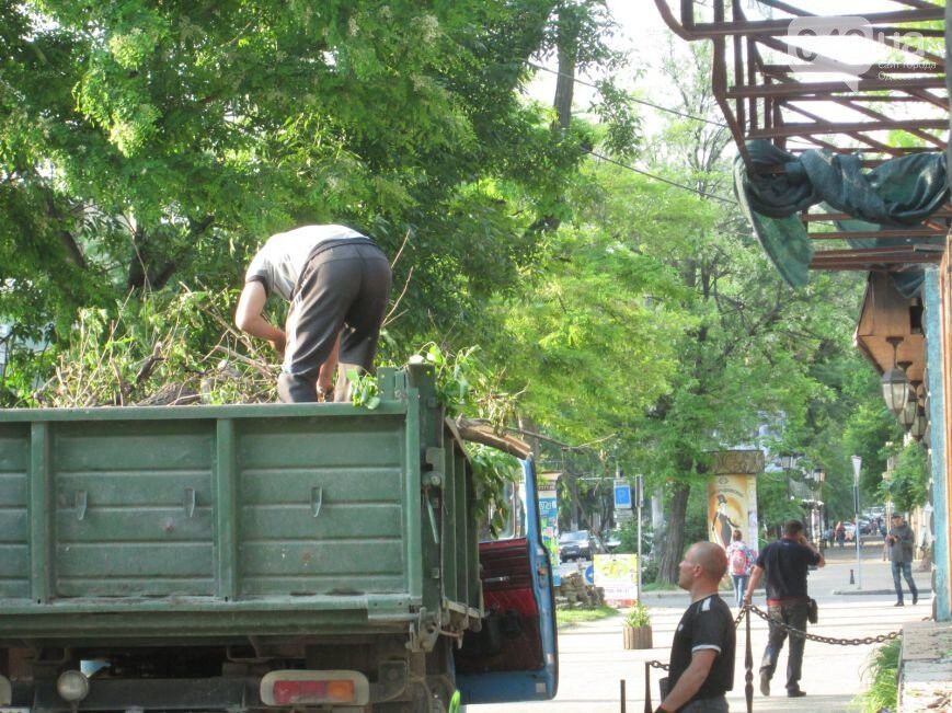 В Одессе строительной компании мешают живые деревья
