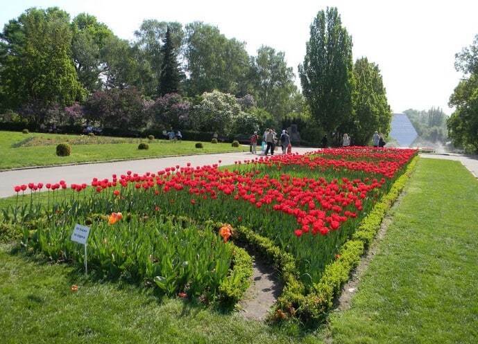 Путешествие в ботанический сад им. Гришко: яркий фоторепортаж