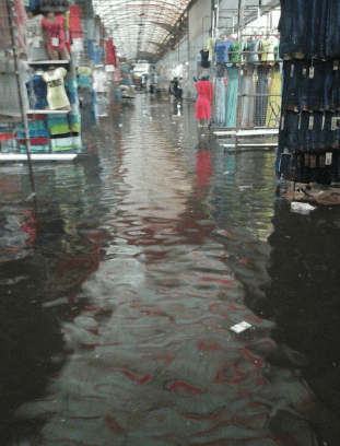 Сломанные деревья и затопленный рынок: по Харькову "прошлась" стихия. Опубликованы фото