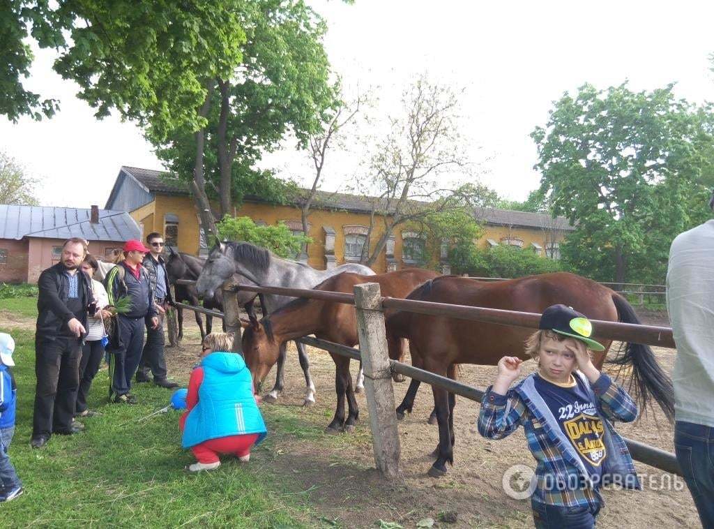 Лошади, рок и украинские знаменитости: под Миргородом состоялся главный  весенний фестиваль 