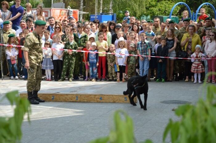 У Житомирі прикордонники відзначили професійне свято: показові виступи і виставка техніки