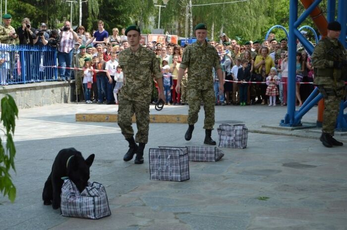 У Житомирі прикордонники відзначили професійне свято: показові виступи і виставка техніки