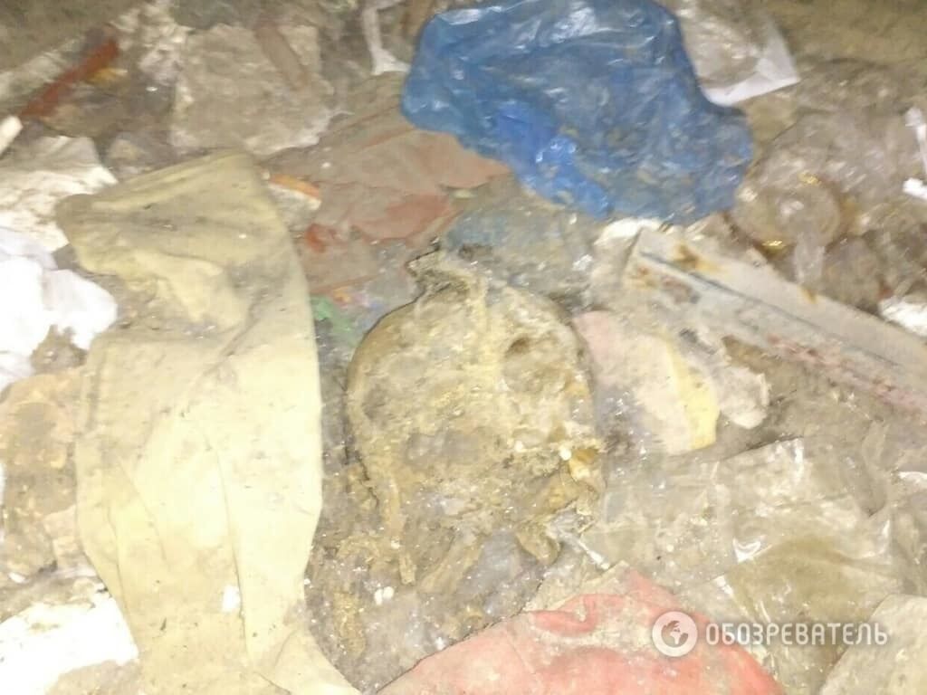 В подвале киевской многоэтажки дети нашли человеческие кости: опубликованы фото