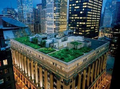 Сади на дахах будинків: чарівна атмосфера краси і затишку