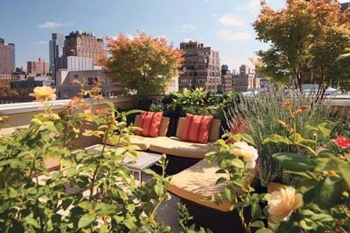 Сади на дахах будинків: чарівна атмосфера краси і затишку