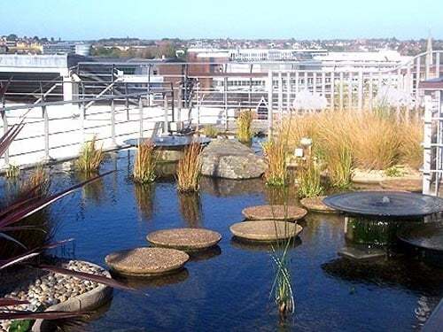 Сади на дахах будинків: чарівна атмосфера краси і затишку