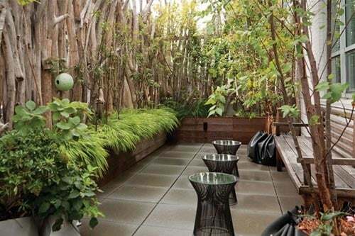 Сади на дахах будинків: чарівна атмосфера краси і затишку