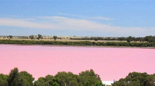 Чудеса природы: опубликованы невероятные снимки розового озера Африки