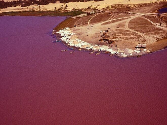 Чудеса природы: опубликованы невероятные снимки розового озера Африки