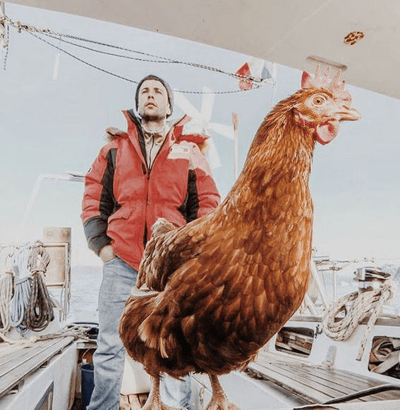 Француз отправился в путешествие с курицей Моникой: удивительные фото