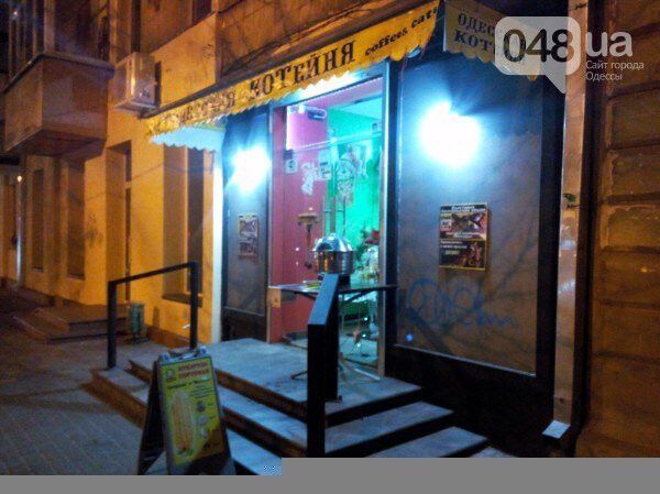 Кошек много не бывает: в Одессе открылось необычное кафе. Фото