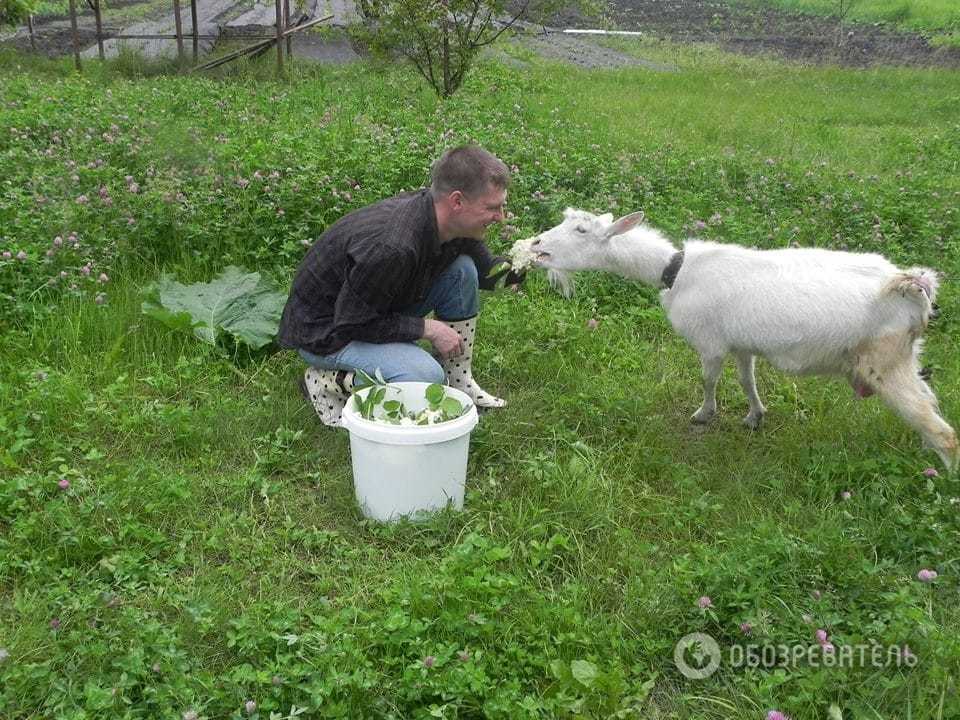 Із кухаря у фермери: як переселенець із Луганська налагодив виробництво сирів під Полтавою
