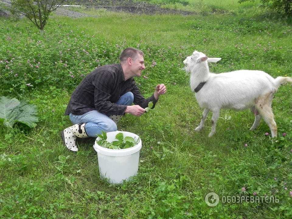 Із кухаря у фермери: як переселенець із Луганська налагодив виробництво сирів під Полтавою