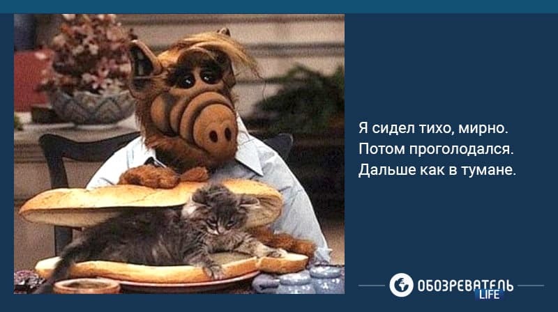 Вспоминаем Альфа: 12 фраз, которые все повторяют за инопланетянином-обжорой