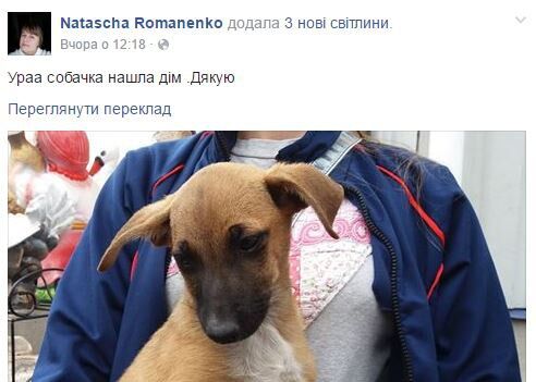 "Любовь с первого взгляда": Ляшко подарил щенку из уманского приюта новый дом. Фотофакт