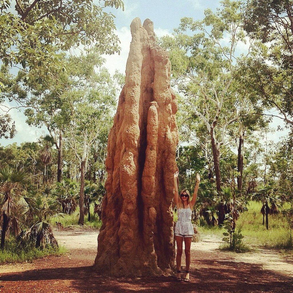 5 аккаунтов в Instagram, которые сделают вас лучше