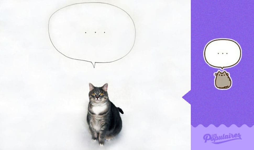 Француз "оживил" кота Пушина из стикеров в Facebook