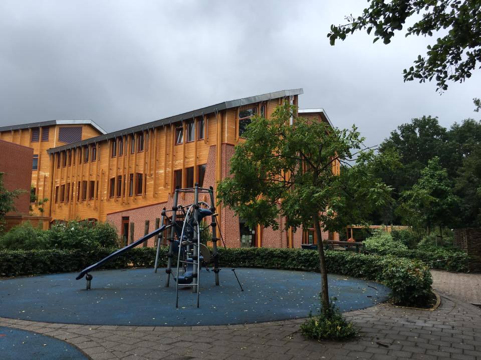 Никаких правил и оценок: как обучают детей в школах Нидерландов 