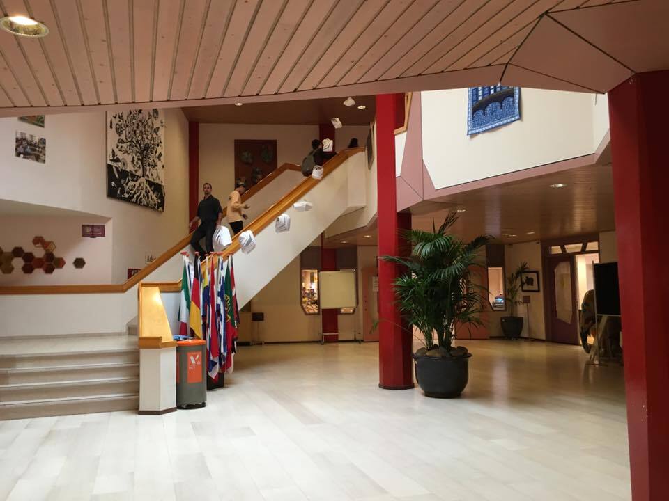 Никаких правил и оценок: как обучают детей в школах Нидерландов 