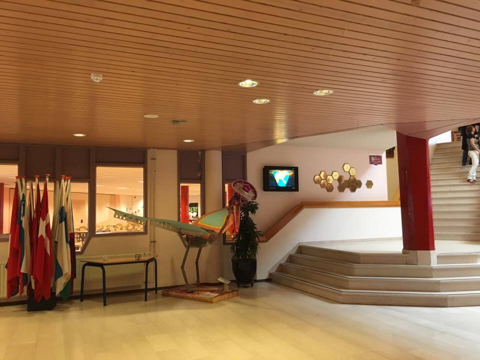 Никаких правил и оценок: как обучают детей в школах Нидерландов 