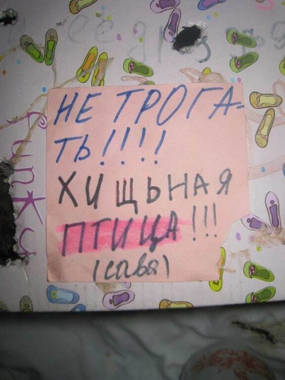 "Ухаживали и кормили, как могли": в Запорожье дети спасли птенца хищной птицы. Опубликованы милые фото