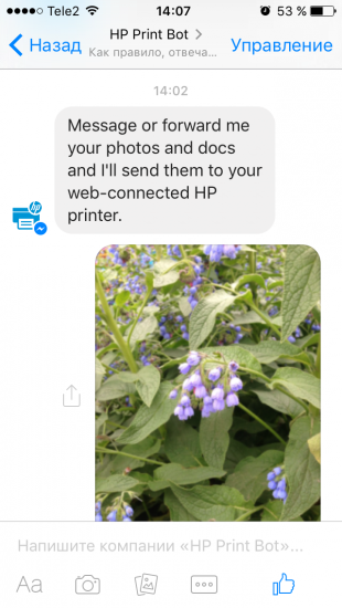 Facebook Messenger: 10 ботов с которыми никогда не станет скучно