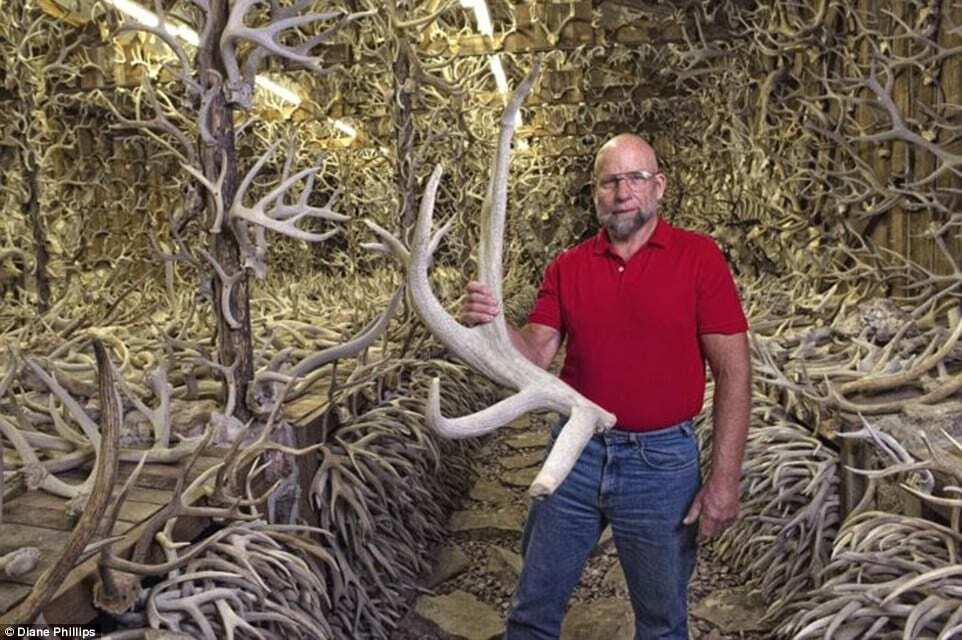 Необычное увлечение: американец за 60 лет собрал многотысячную коллекцию рогов