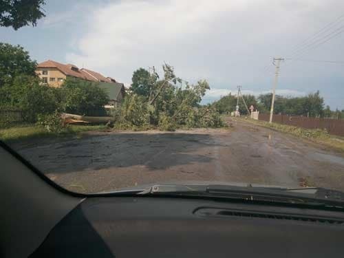 Руйнування і зламані дерева: з'явилися фото наслідків урагану на Прикарпатті