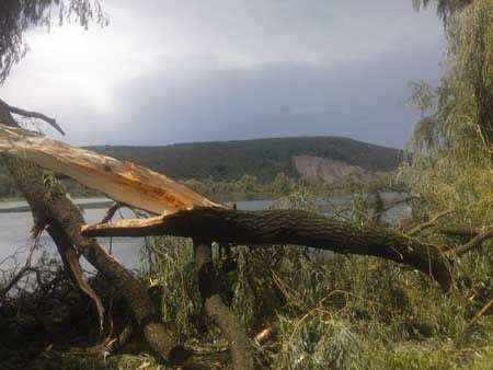 Руйнування і зламані дерева: з'явилися фото наслідків урагану на Прикарпатті