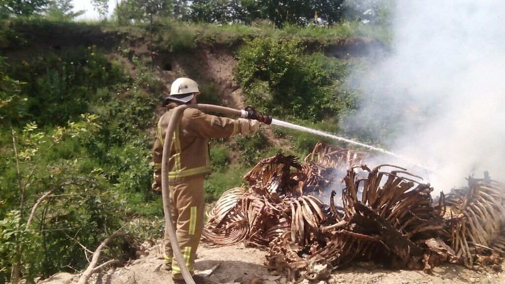 Под Киевом загорелась свалка с костями животных