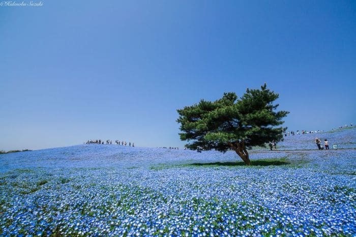 Красота Японии: топ-30 лучших мест страны восходящего солнца