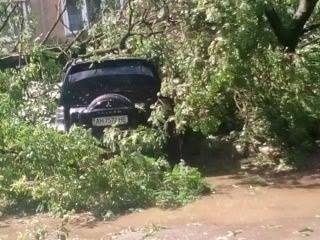 Руйнування і зламані дерева: з'явилися фото наслідків урагану на Прикарпатті