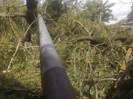 Руйнування і зламані дерева: з'явилися фото наслідків урагану на Прикарпатті
