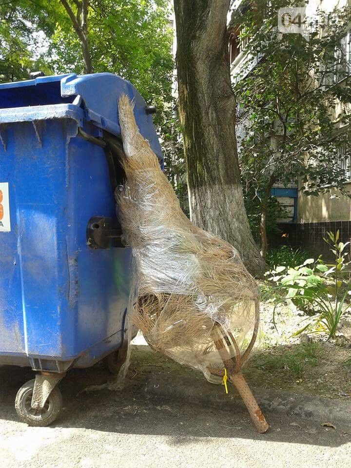"Слабак, надо было дождаться 20 декабря!": одесситов удивила "находка" у мусорного контейнера. Фото