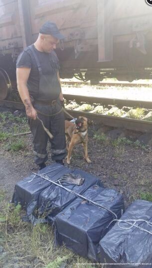 Контрабанда у вагонах: собака виявив контрафактні цигарки. Фото