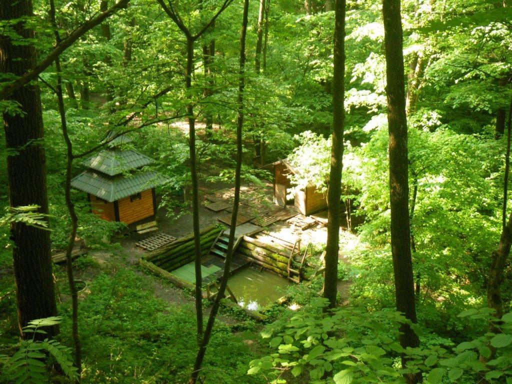 Идеальное место: где в Киеве провести пикник с детьми