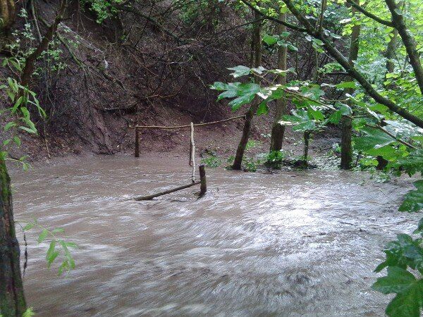 Збільшилась у 10 разів: на Тернопільщині річка затопила село. Фото