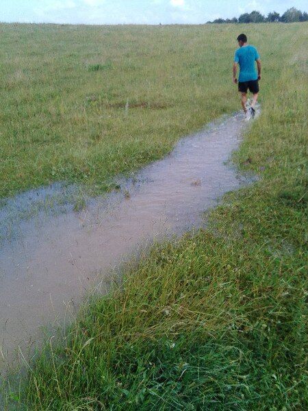 Збільшилась у 10 разів: на Тернопільщині річка затопила село. Фото