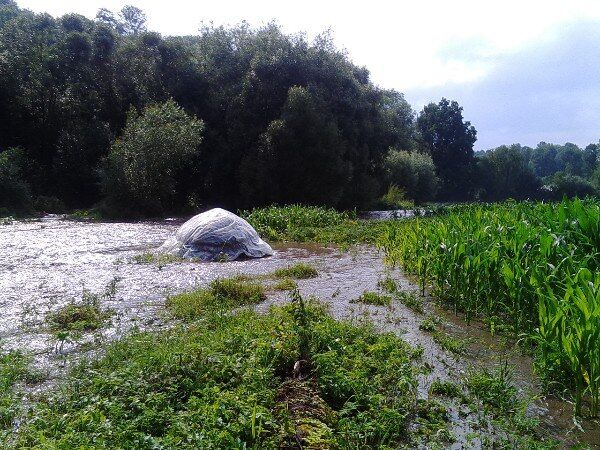 Збільшилась у 10 разів: на Тернопільщині річка затопила село. Фото