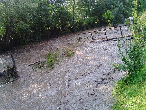 Збільшилась у 10 разів: на Тернопільщині річка затопила село. Фото