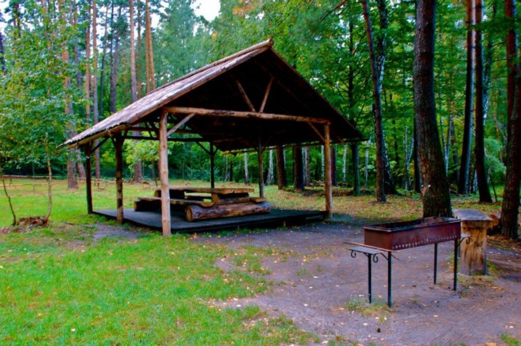 Идеальное место: где в Киеве провести пикник с детьми